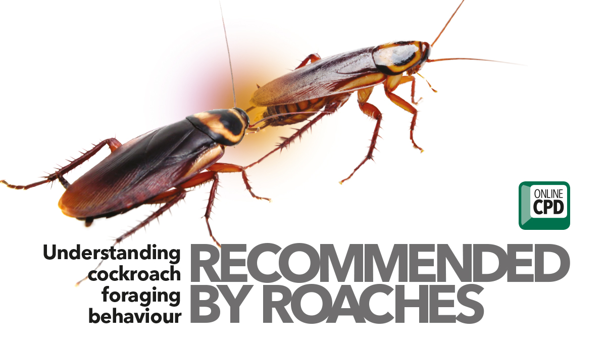 Recommended by roaches Recommended by roaches
